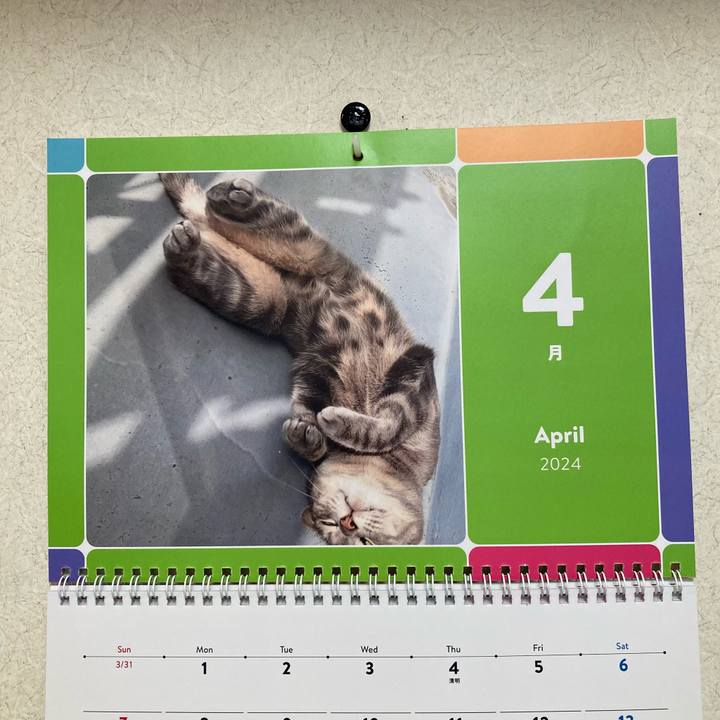 580f7eb5 d1e8 4b32 ae7e 5392472ec13d 1712017566561