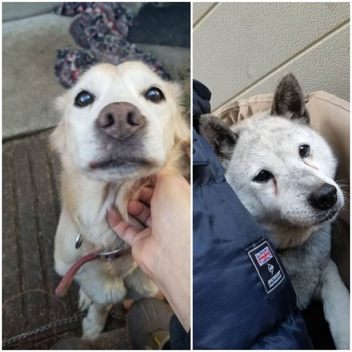 580f8998 f2db 4b22 bdcf 6d65937378f9 1754971570757