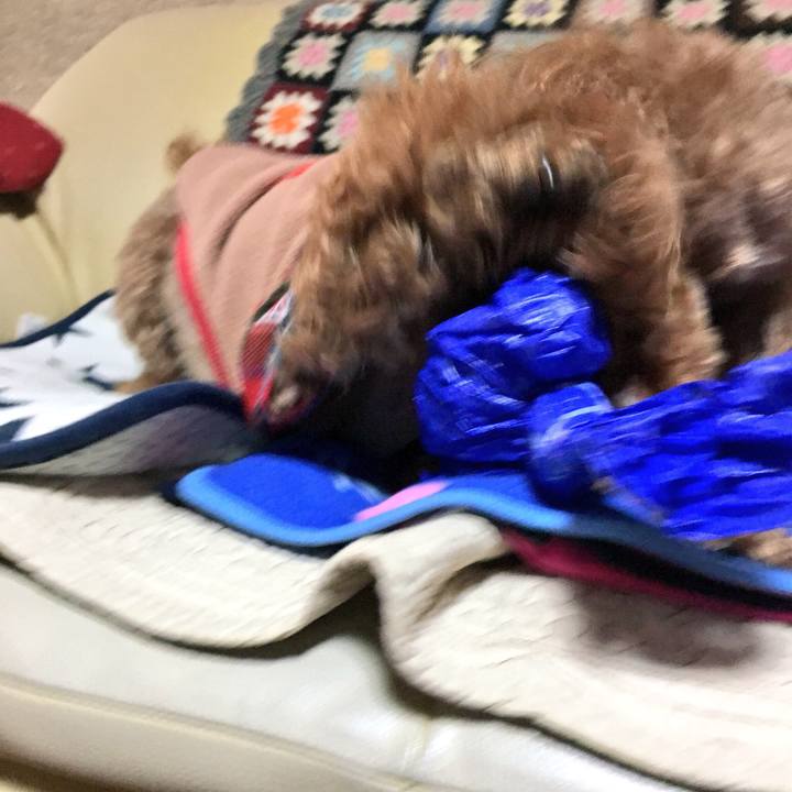 5810456d fe58 4ab1 a62b 7cddc072b4d5 1518836299074