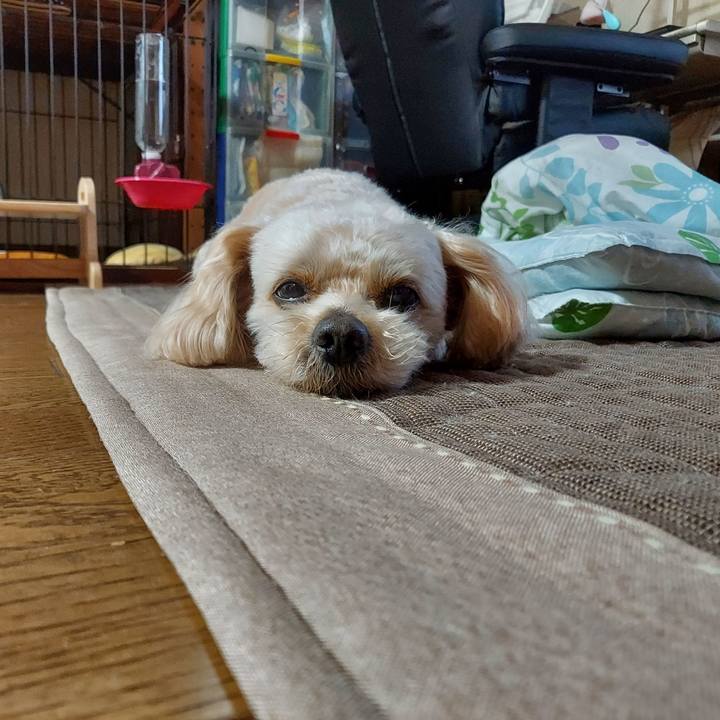 5810485e 6d47 4570 b52e 09357caad1f9 1625004807241