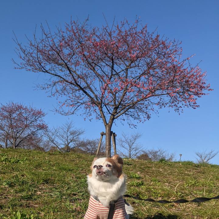 581048df 68cf 4fa3 8bd0 ae2be7feceab 1615710891471