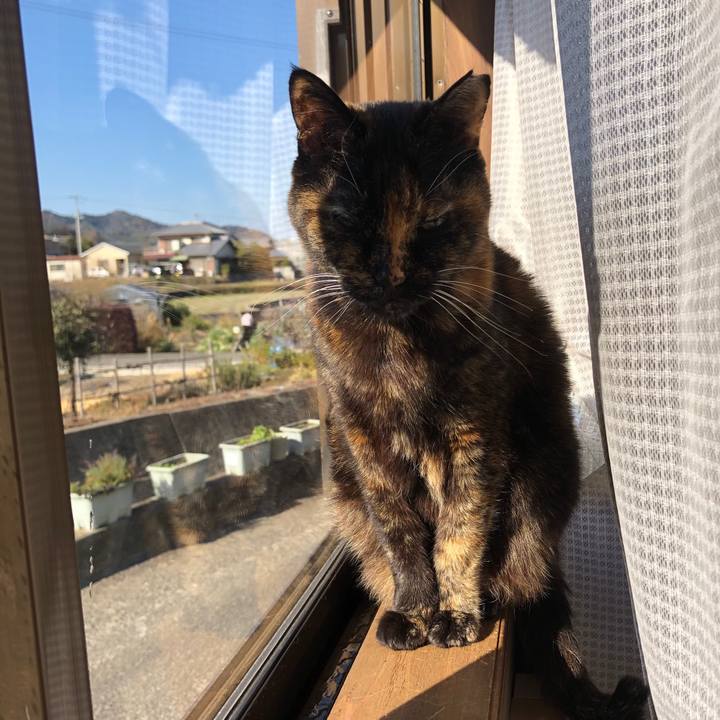 58107833 4127 4600 b884 0c0d7ad88c08 1675149611051