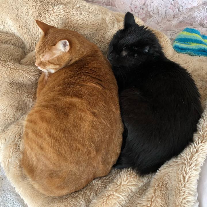 58107cf2 6b61 4f3b b22e a8d5d6238a51 1612591021384