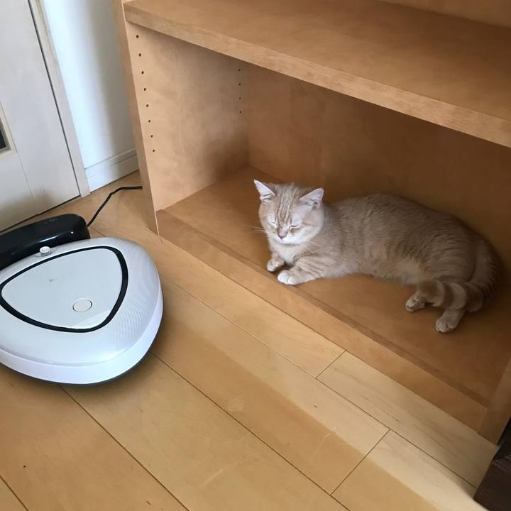 58108d07 ef5d 4f32 92bf 854af31ba810 1524882436603