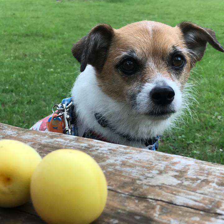 5810a287 19a5 46be 87f0 dea41c518d72 1528799507738