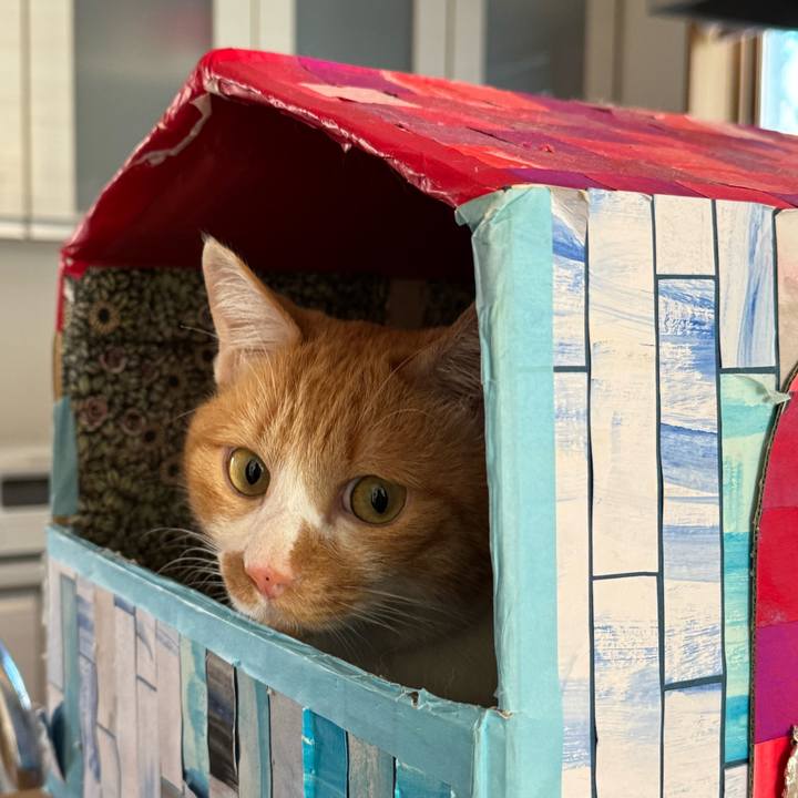 5810a54e dd82 49cc ae15 a72abe3b21ff 1765072391016