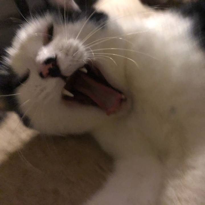 5810c191 a840 437e 8b64 dfa76cb4ffca 1553440022940