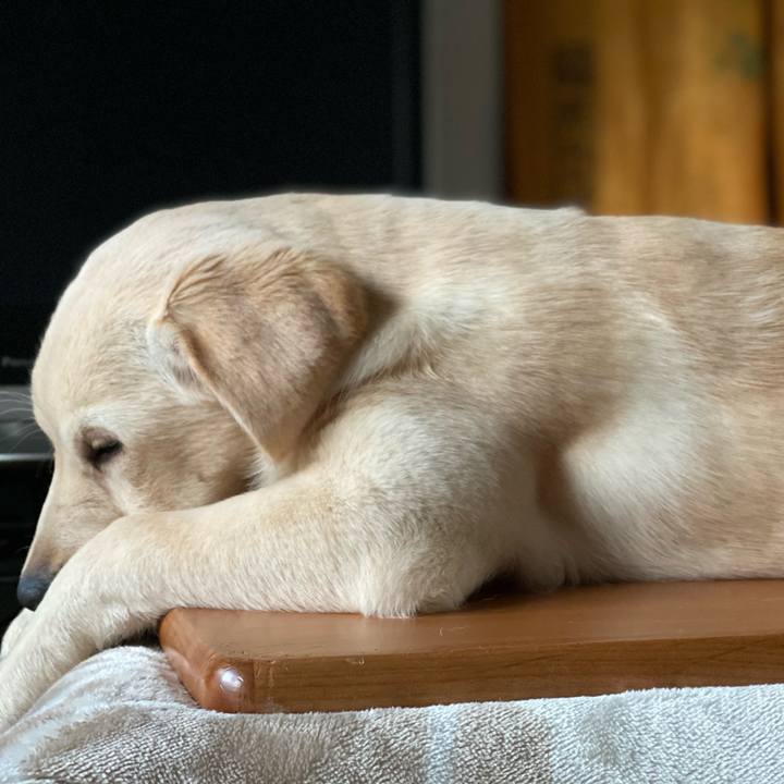 5810dd1a 00e0 4bda 88af 7a8592bf3580 1613772922142