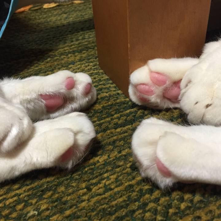 5810ddc7 65ad 469d bd94 3356ad9459c4 1517055973984