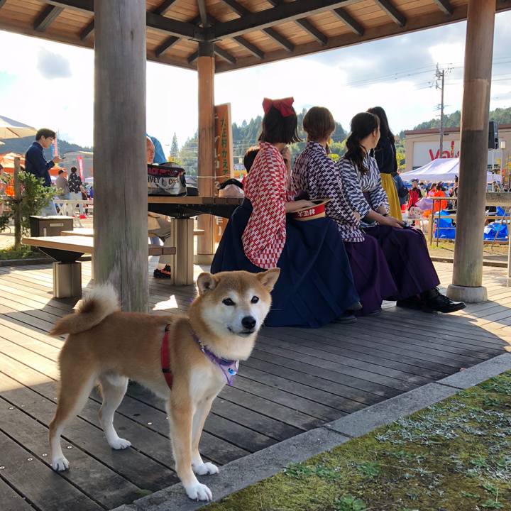 58111b64 2a7f 4996 8e5f e0fa905d51cf 1540708726799