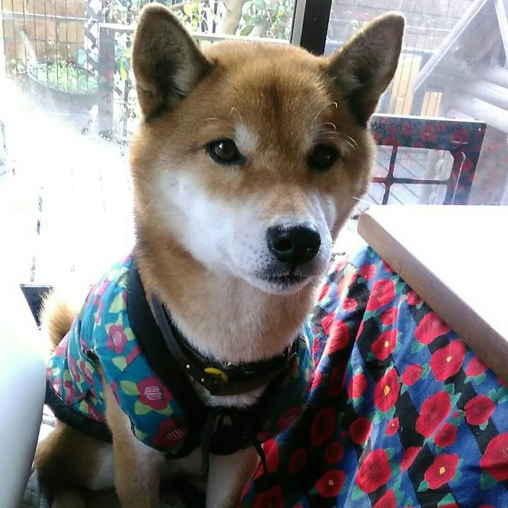 58113c6a 7b04 49cd 9dc7 bf8bceb398a8 1578275199391