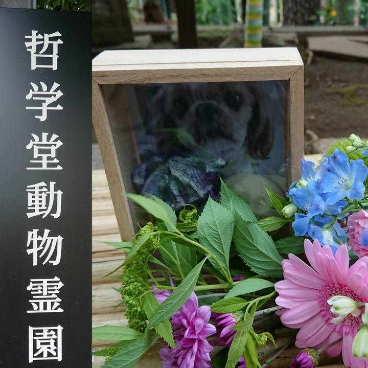 58116c8f 11ab 439e 9854 2f5424611a17 1590995961073