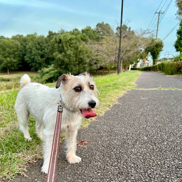 581180bf 0416 4f47 acc7 82730f036bc4 1757883104750