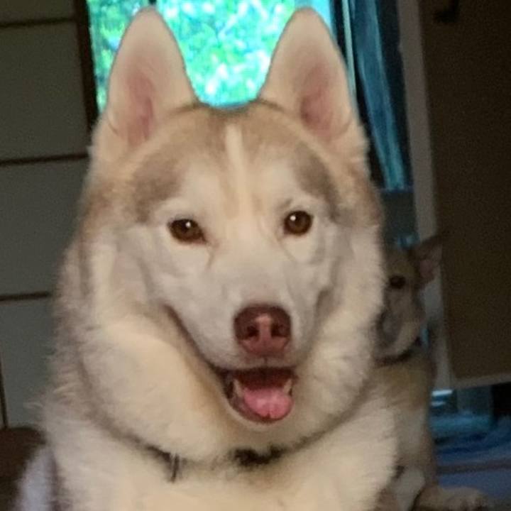 58118f0e 9851 451e 8913 1da216ffbc83 1598744042773