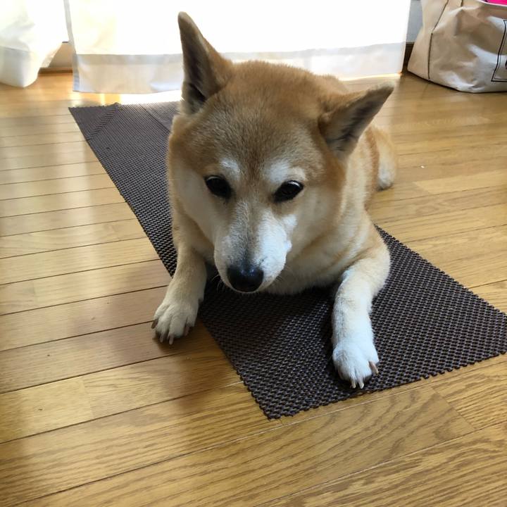 58119010 f8c7 4790 945d 2795334ce3cf 1589693372105