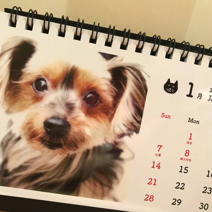 5811926a cd89 4278 bfb2 445b91e8291b 1514851177304