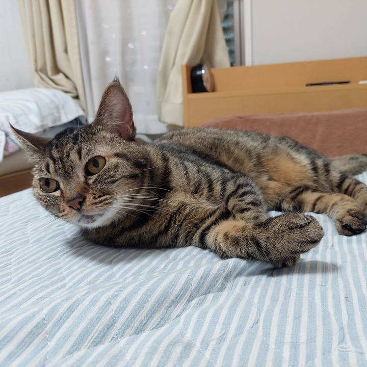 5811e828 491b 4938 a508 1532907cdf89 1633382740939