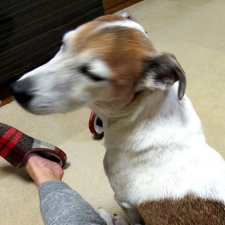 5811eeea e535 4e67 8cd0 7023188463cb 1545739377337