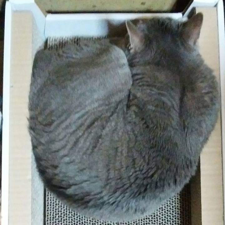 58120160 79d8 444f 94fd c9e6491911b2 1588682342707