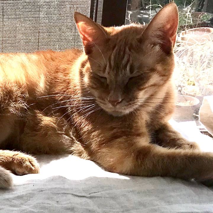 581220d2 d2e3 44c8 a435 839e9c5ed9f8 1552457816435