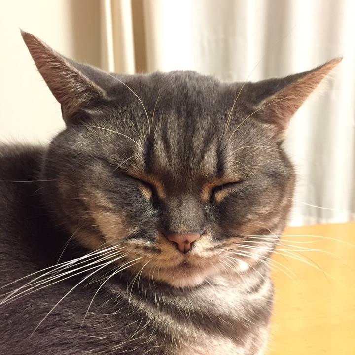 58125291 d3f3 4285 9169 6ee094f2f4a1 1510662472494