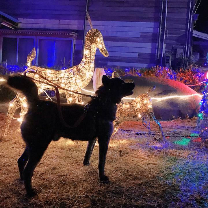 58125ddc b1ce 4ced 8807 48ef6597cda1 1514038275893