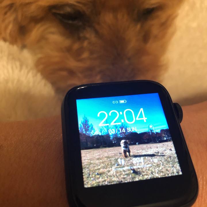 58127eff b493 452b 9109 200335e9decf 1615727228687