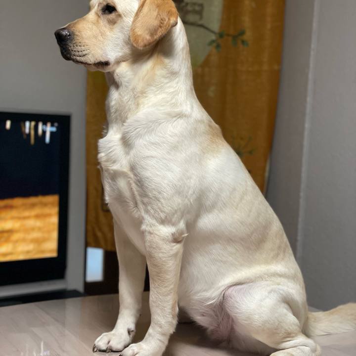 58129ef2 e77b 45d6 8145 aa9ab6119ffd 1657893463420