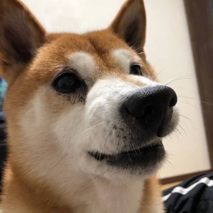 5812d81e ce20 4349 a2d3 892cbe238552 1540852446261