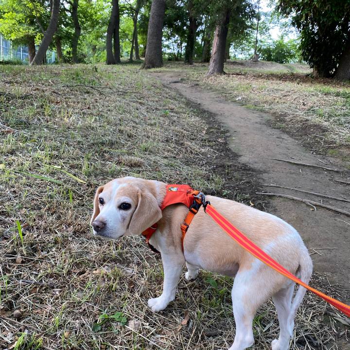 5812eb8b bef6 4e68 81f1 5a2a70fe9dc0 1590236831238