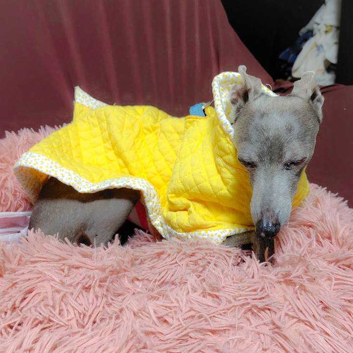 5813241b ed5b 4d14 92d6 9b05f56e9eb6 1761043268446