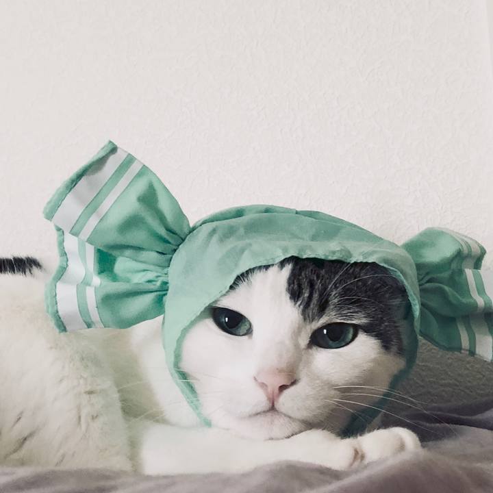 58134c87 f7f4 46f0 8aeb c8b1099bda91 1528846911593