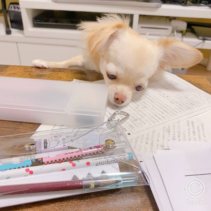 58134e43 e909 4504 a0f9 3c492377719b 1615805902663