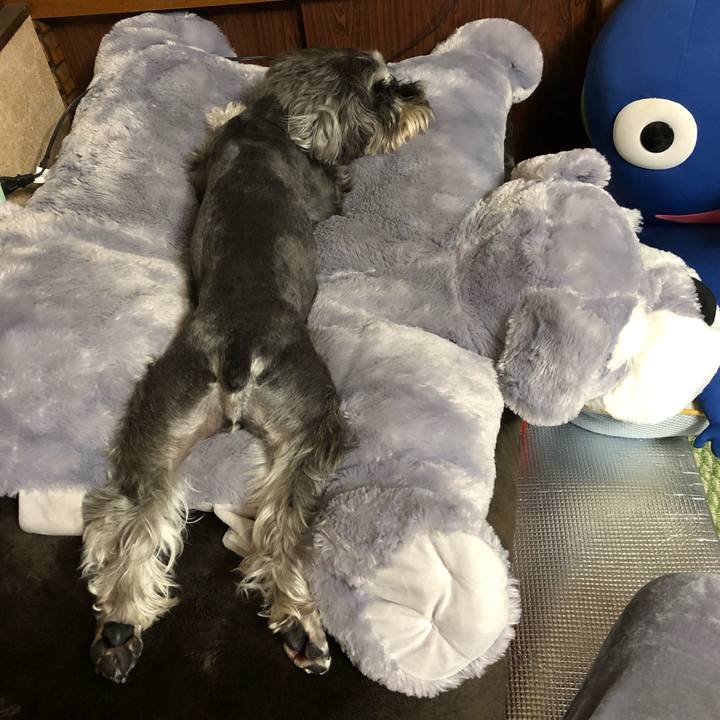 58135536 6656 46ec 9770 8c7b8a51d9b3 1556110698964