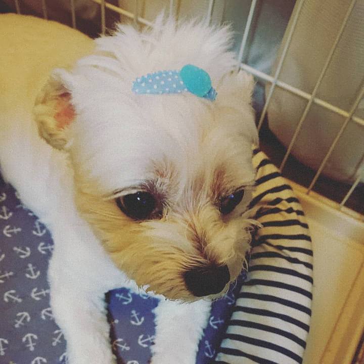 581360c6 025b 4b03 8522 fcadc496b977 1596711765415