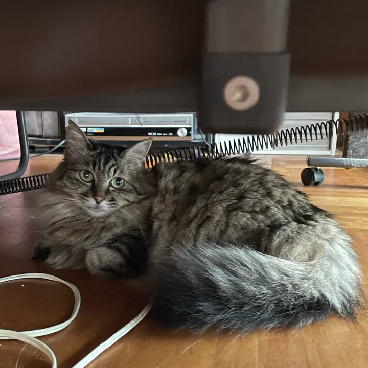 5813b11c dedd 4036 8932 597639a5d3f8 1750945614367