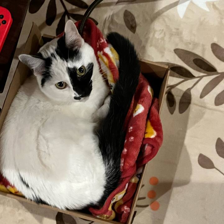 5813b872 7817 4fd3 b6db ef23c898736a 1763416210494