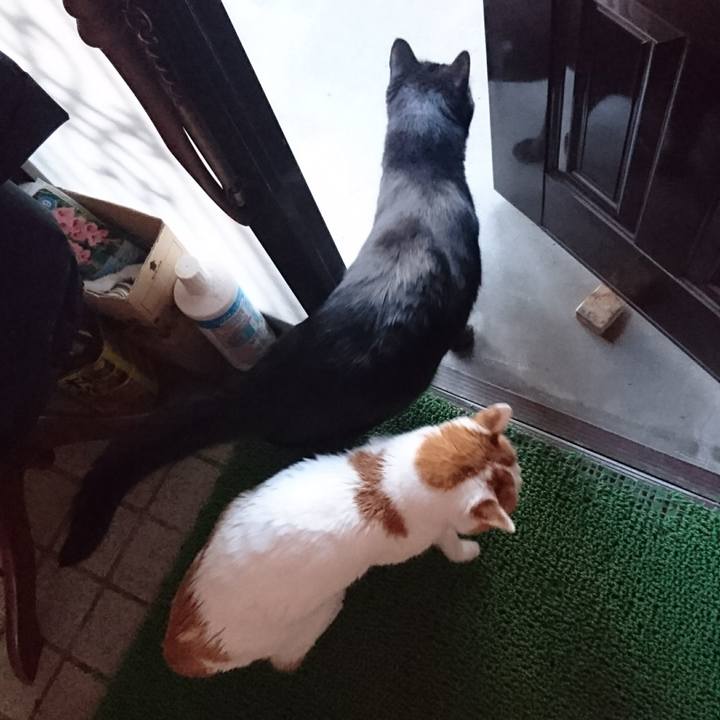 5813f677 b049 4697 8bd0 39b142db8926 1560040323653