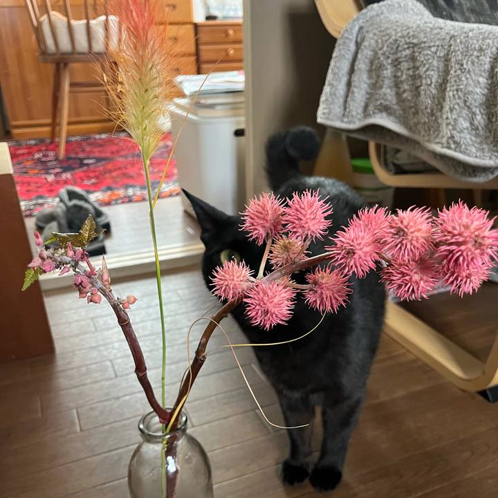 58142009 bd44 435b ace2 e2bdc080418f 1729398433904