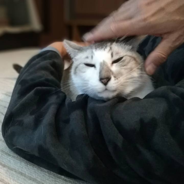 58143ec9 e797 4f88 8519 f9fe1dc33168 1574496202653