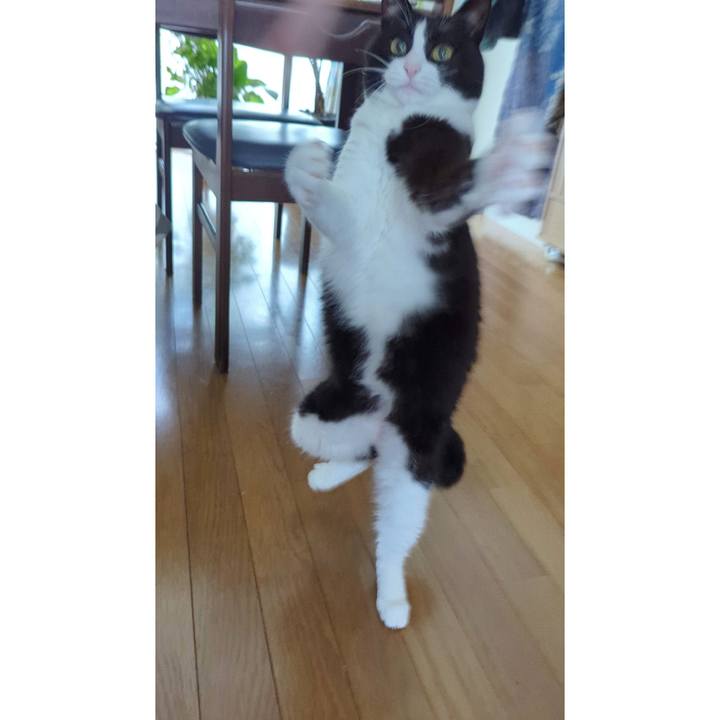 58145161 28f0 4b66 8d59 5134434d24c0 1721052231635