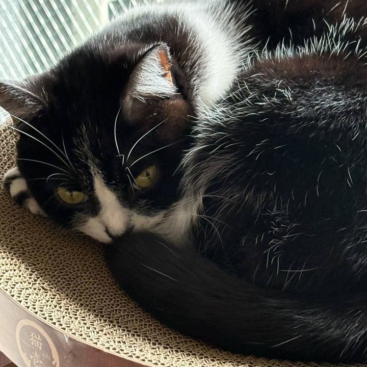 58147f97 9e6f 47fb 99fa e4c157a579fe 1762401827188