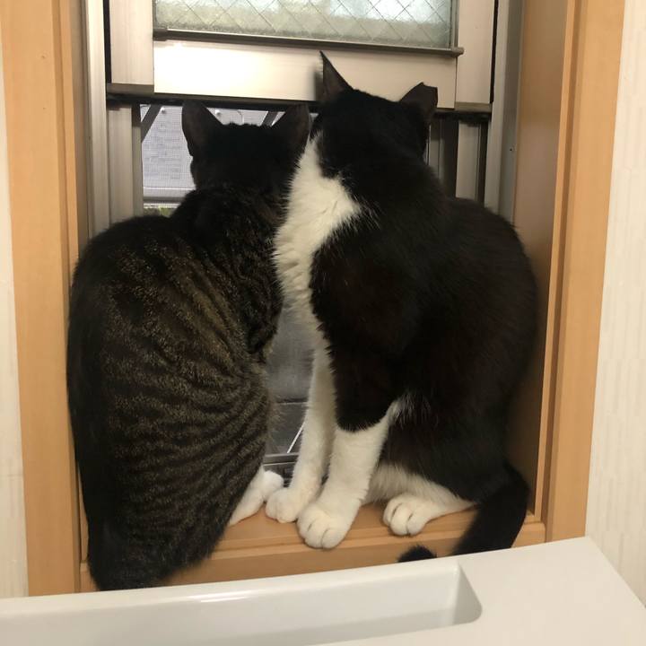 5814be36 48fc 4399 ad1e 9a989e684062 1594756640836