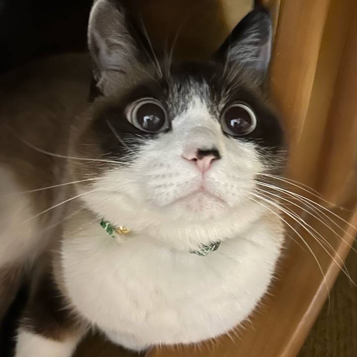5814c885 18c3 42c2 8bc2 32e1bb4b7a04 1743026845380