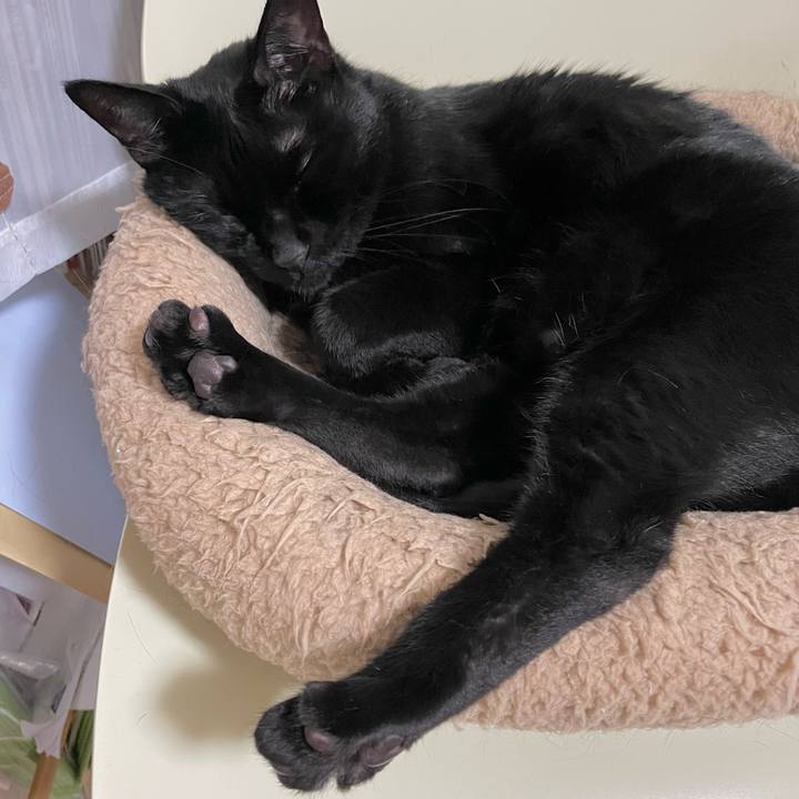 5814e2e9 bc3d 4a8a a623 4fd2186f38db 1667818974441