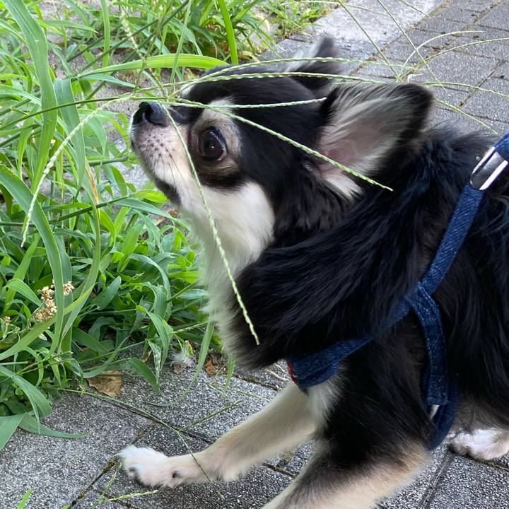 581509ba c04c 4948 b0a3 129e521dbaa8 1627795651625