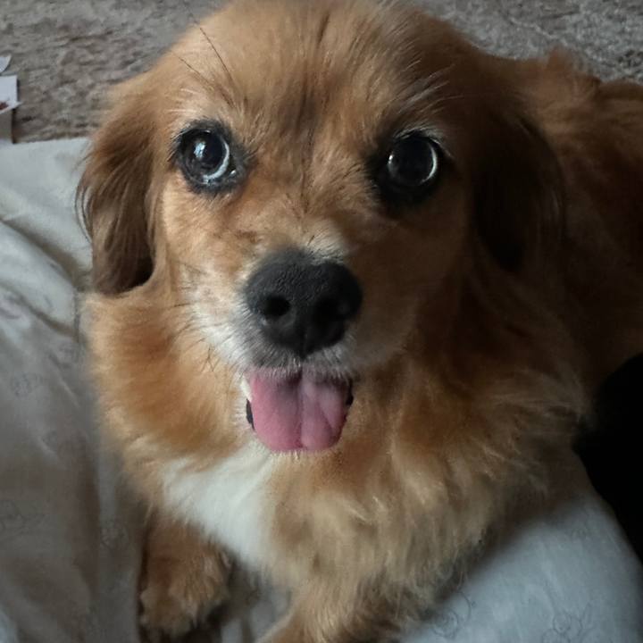 58151db0 1cf8 4508 b545 b75a761e72ef 1689887304713