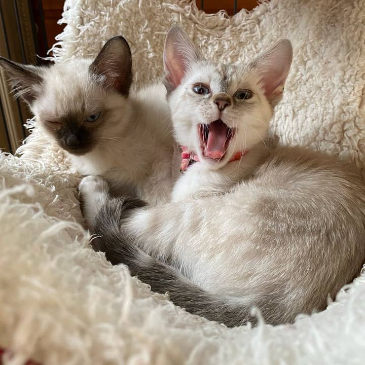 58153bd9 acbc 4734 8308 7c7d1063352c 1747547868213