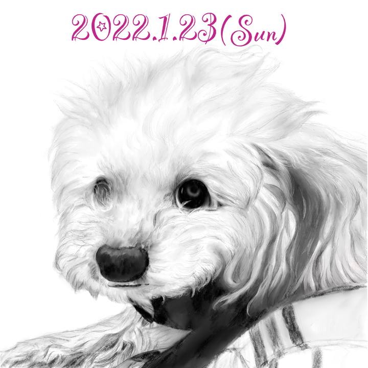 581561a3 66a4 42d3 875f a0bd5de4f8a2 1642935777789