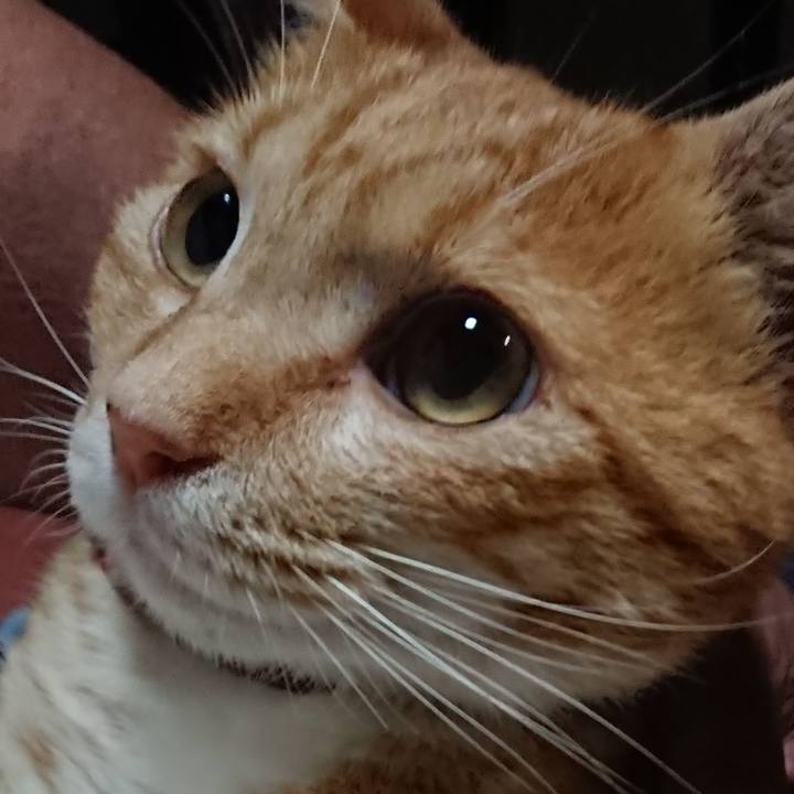 5815647c 7765 4adf 8a19 c8ae6a70484e 1565697821654